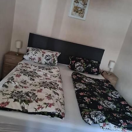 Gemuetliche Ferienwohnung Am Waldrand Elgersburg Екстериор снимка