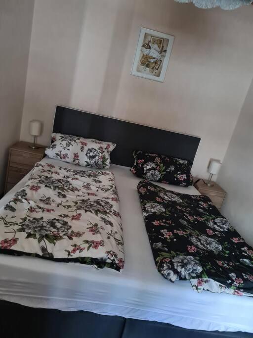 Gemuetliche Ferienwohnung Am Waldrand Elgersburg Екстериор снимка