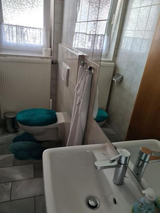 Gemuetliche Ferienwohnung Am Waldrand Elgersburg Екстериор снимка